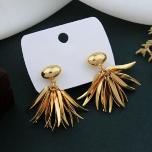 stylish fancy earrings rs.300